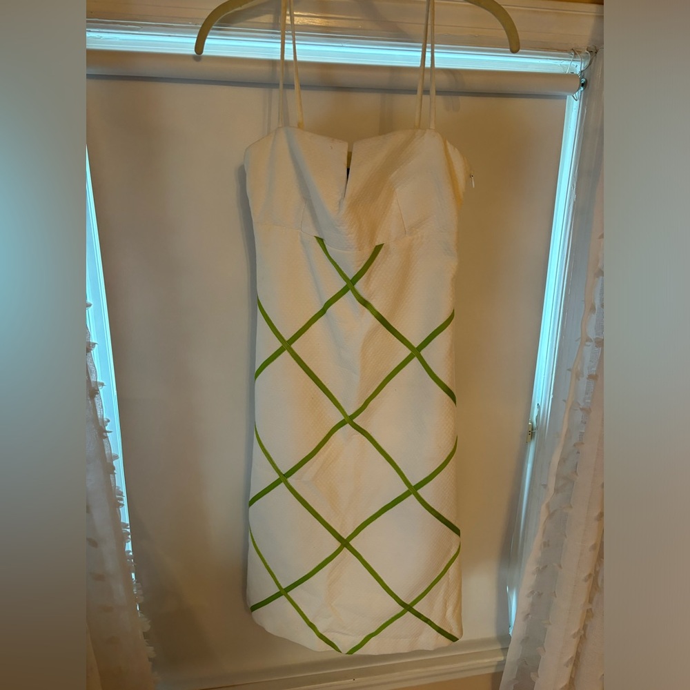 NWT CK Bradley Green and White Dress